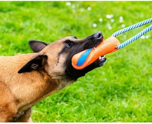 Chuckit! Ultra Bumper Tug Dog Toy,Orange,Medium