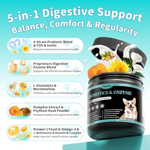 Probiotics for Dogs, 10B CFU with 5 Prebiotics & 5 Enzymes, Beef, 90 Count