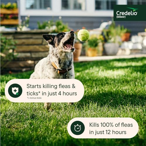 Credelio (lotilaner) Tick & Flea Treatment for Dogs 25.1-50 lbs., 1ct