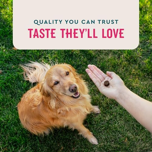 VetIQ Multivitamin for Dogs, Dog Supplement Supports Active Brain Function, Immune System, and Digestive System, Hickory Smoke Flavored Dog Multivitamin, Made in the USA, 60 Count