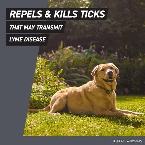 FRONTLINE Shield Flea & Tick Treatment for Medium Dogs 21-40 lbs. Count of 3