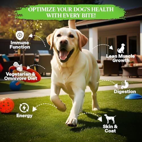 Healthy Dogma - PetMix Dehydrated Dog Food, Clean Ingredient Food - No Preservatives, Homemade Dog Food (Super Green, 2 lbs)