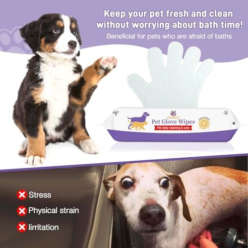Pet Glove Wipes for Dogs & Cats, Pet Cleaning Gloves 15 PCS