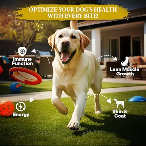 Healthy Dogma PetMix Dehydrated Dog Food, Chicken Dinner