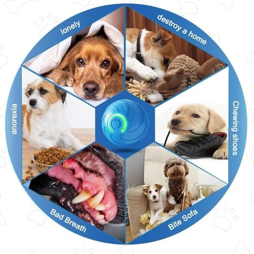 2 Packs Smart Jumping Ball for Dogs,2025 New Vibrating DogBall, Smart Jumping Ball DogToy, Interactive DogBall, Shaky BallToy for Dogs, BouncingBall for Dog, for Small Medium Large Dog