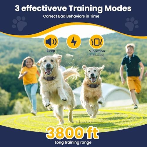 Wireless Dog Fence, Electric Fence, 185 Days Standby Training Collar, Flash Light & Waterproof Portable Dog Perimeter Collar with 3 Training Mode for 1 Dog Large Medium Upgraded Dark Grey for 1 Dog