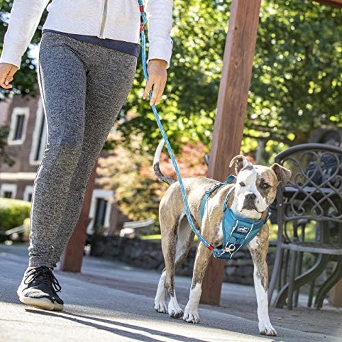 Kurgo Tru-Fit Smart Harness, Blue, Extra Small