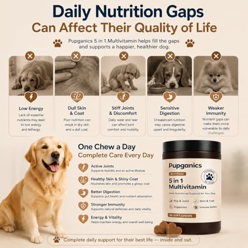 Pupganics Multivitamin Daily Soft Chews for Dogs,Pupganics 5 in 1 Multivitamin,with Chondroitin & Natural Vitamins,for Hip & Joint, Heart Health, Skin & Coat, Digestion & Immune Support, 60 Chews.