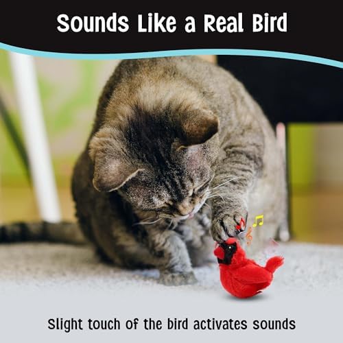 SPOT Song Birds Cat Toy- Touch Activated Singing Catnip Toy Mimics Real Bird Songs, Battery Operated Toy Satisfies Cat's Natural Urge to Hunt - One 5" Song Bird, Assorted Colors