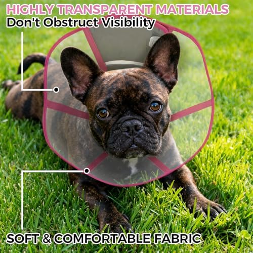 Recovery Collar for Dogs – Adjustable Pet Cone for After Surgery