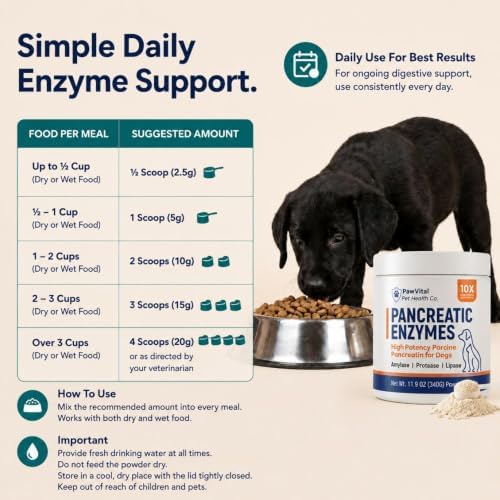 Pancreatic Enzymes for Dogs – 10X High Potency Porcine Pancreatin Digestive Enzyme Powder with Amylase, Protease & Lipase – EPI Support, Digestion & Nutrient Absorption – 340g