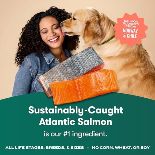 Jinx Dry Dog Food - Real Salmon, Brown Rice & Sweet Potato, 4lb