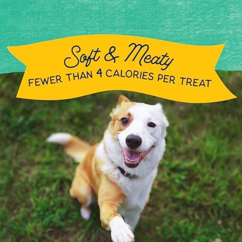 Natural Balance Rewards Minis, Training Treats for Dogs, Chicken, 5.3 oz