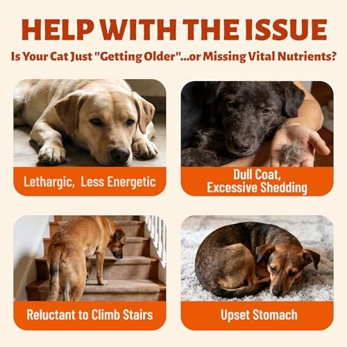 330 Bites Dog Vitamins and Supplements for Immunity Support