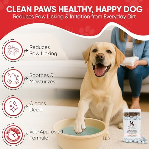 Warren London Deep Cleaning Paw Soak for Dogs – Soothes Itchy, Irritated Paws with Aloe Vera, Seaweed & Tea Tree Oil | Anti-Lick Paw Treatment | 5-Minute at-Home Spa for Dogs | 12 Fizzy Tablets