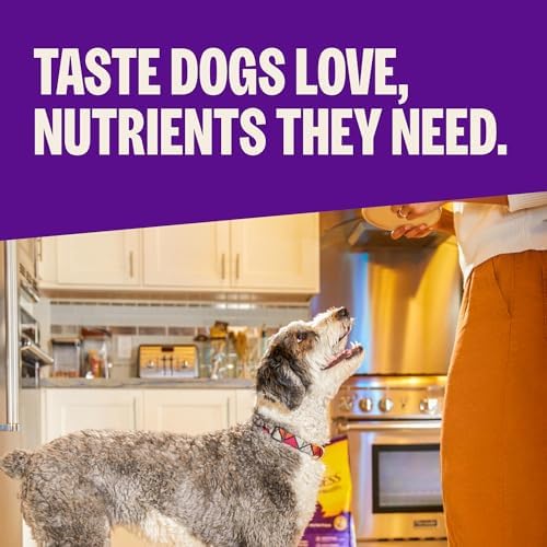 Wellness Complete Health Age Advantage Senior Dry Dog Food, Wholesome Grain Kibble, Natural, Chicken and Barley Recipe, 30 lb Bag