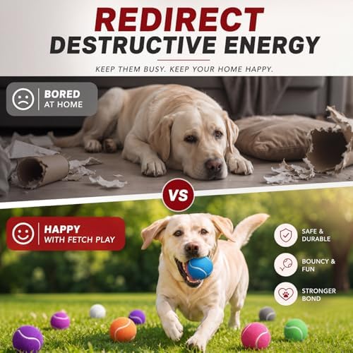 Yunsailing 45 Pcs Dog Tennis Balls 2.4 Inch Dogs Toy Balls Bright Colors Pet Training Toy for Small Medium Large Puppy Indoor Outdoor Interactive Training Exercise Games