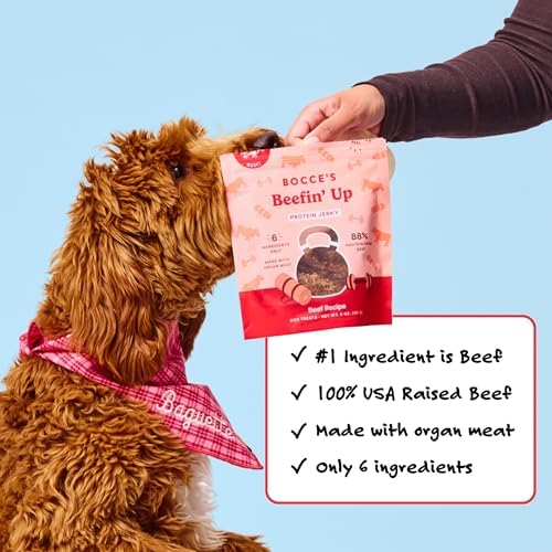 Bocce's Bakery Beefin' Up Protein Jerky Dog Treats, Beef (5 oz)