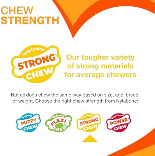 Nylabone Strong Chew Stick Made with Real Wood Dog Chew Toy, X-Large