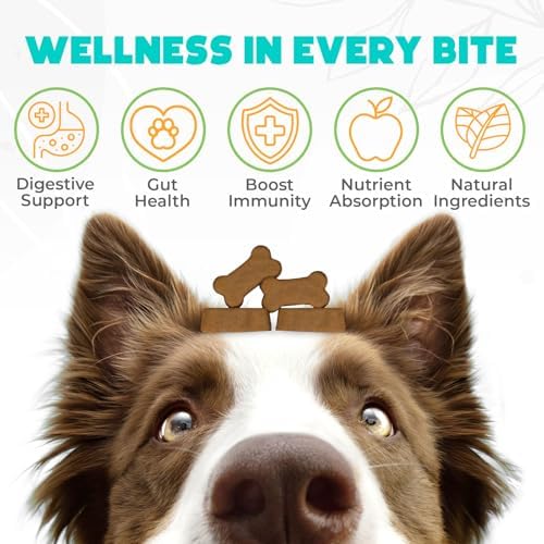 Probiotics for Dogs Chews 150 pcs - Probiotic Chews for Dogs with Enzymes & Natural Ingredients - Digestive & Gut Health Support - US Formula - Duck Flavored