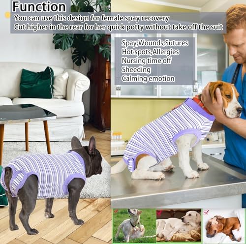 Recovery Suit for Female Dogs, Dog Cone Alternative After Spay
