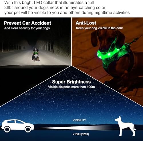 CHUKCHI LED Dog Collar Rechargeable,Waterproof Flashing Collar,Light Up Glow Collar, Adjustable Soft Safety Light Up for Small Medium Large Dogs Walking Camping at Night (Green-M)