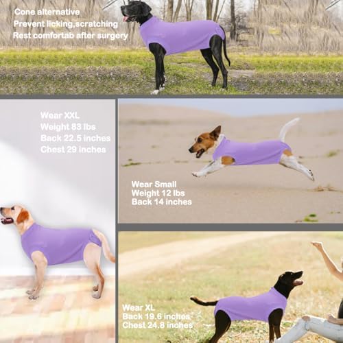 Recovery Suit for Female Dogs, Dog Cone Alternative After Spay