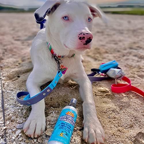 Bodhi Dog Sunscreen SPF 30+ Moisturizing Pet Sun Spray - Safe for Dogs, Cats & Horses - Natural Protection for Skin, Coat, Nose, Ears - Made in USA (8 Fl Oz)
