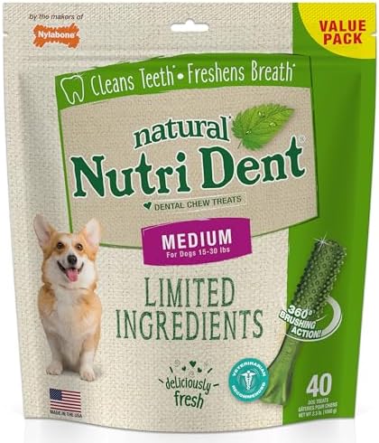 Nylabone Nutri Dent Dog Dental Treats - Natural Dog Teeth Cleaning & Breath Freshener - Dental Treats for Dogs - Fresh Breath Flavor, Medium (40 Count)