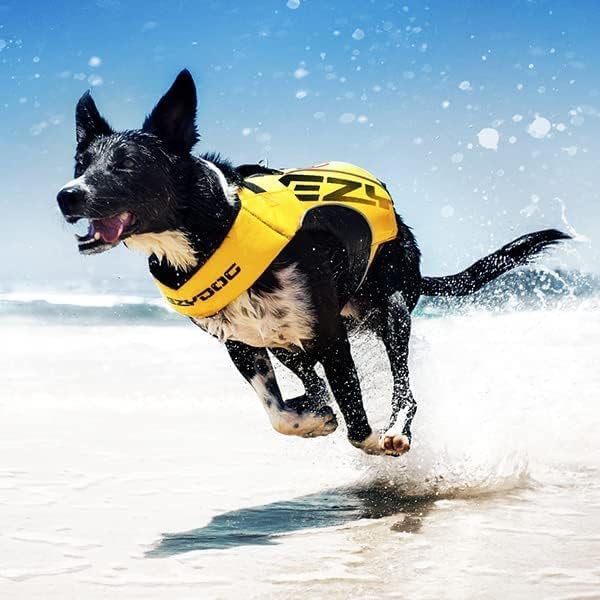 EzyDog DFD X2 Dog Life Jacket - Adjustable Swimming Safety Life Vest Preserver with Continuous Neck Flotation, Reflective Trim, & Grab Handle (Medium, Red)