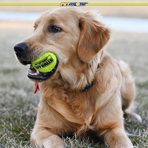 PetSport Tuff Ball - Medium Tennis Balls for Dogs, Great for Boredom & Aggressive Chewers, Dog Toy, Medium Tennis Balls for All Dogs, Certified Non-Toxic, Won't Wear Down Teeth - 2.5"(2 Pack)