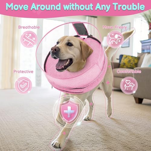 Inflatable Dog Cone with Clear Shield for Added Coverage