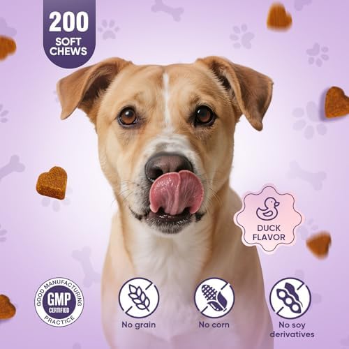 Joint Supplement for Dogs 200 ct, Glucosamine Chondroitin MSM for All Dogs
