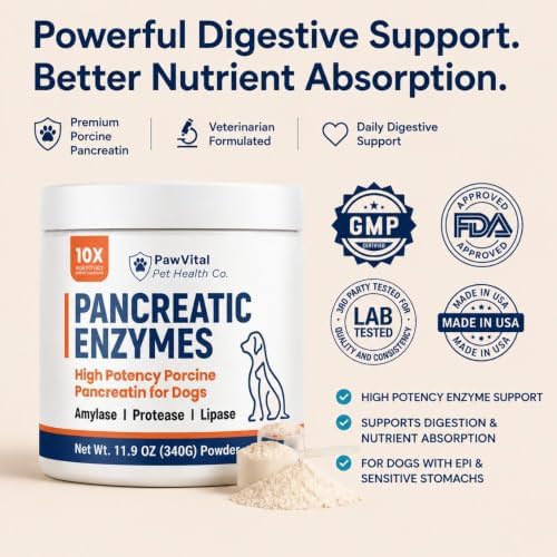 Pancreatic Enzymes for Dogs – 10X High Potency Porcine Pancreatin Digestive Enzyme Powder with Amylase, Protease & Lipase – EPI Support, Digestion & Nutrient Absorption – 340g