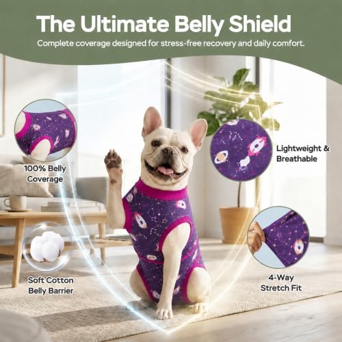 PetWarm Dog Recovery Suit, Recovery Suit for Dogs, Cosmic, Purple Yellow, M