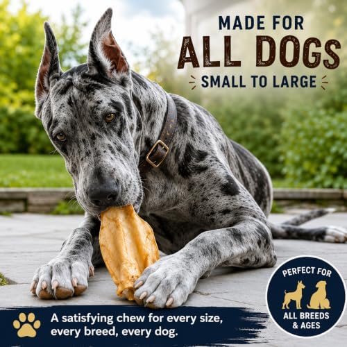 Nature’s Own Not-Rawhide Vanilla Flavored Cow Ears for Dogs | Made in USA | Long Lasting Dog Chews | Safe Rawhide Alternative (Pack of 5)