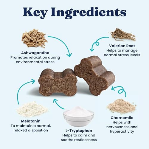 Solid Gold Calming Chews for Dogs with Melatonin for Storms & Travel, 120ct