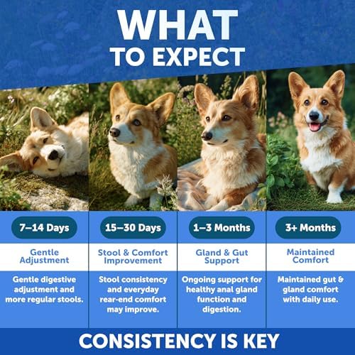 Anal Gland Support Chews for Dogs - Bye Scoot - Dog Fiber Chews w/ Pumpkin