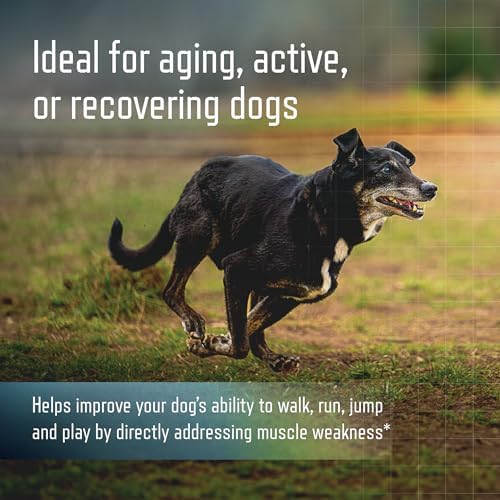 Virbac URSOLYX Soft Chews for Dogs | Muscle Health Support for Senior, Active or Recovering Dogs, Small | 120 Count 4-Month Supply