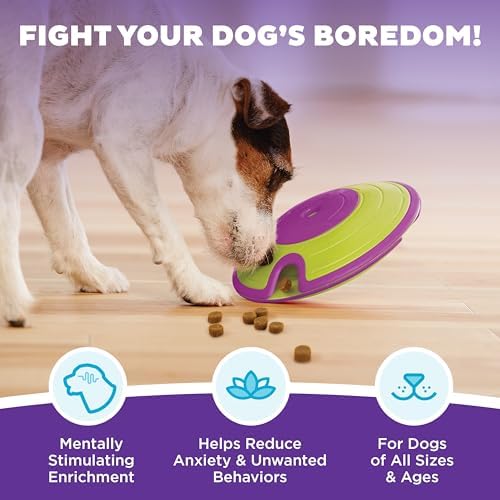 Outward Hound Nina Ottosson Dog Treat Maze Dog Toy, Tap & Flip, 7.5"
