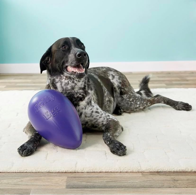 Jolly Pets Jolly Egg Dog Toy, 8 Inches/Medium, Red (JE08 RD)