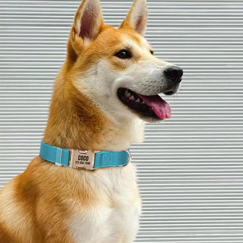 Personalized Reflective Nylon Dog Collar with Name, Green