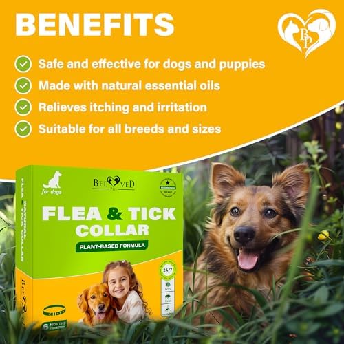 Natural Flea & Tick Collar for Dogs - 6 Months Control of Best Prevention & Safe Treatment - Anti Fleas and Ticks Essential Oil Repellent (2 Count (Pack of 1))