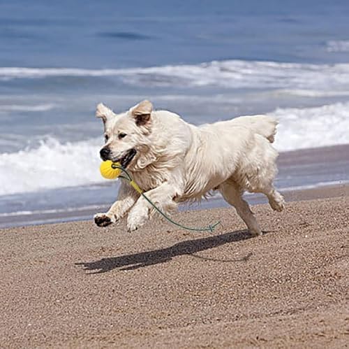 2 Pack Ball with Rope Dog Toy,Fling Dura Foam Toy,Dog Water Float Ball Rraining Boall on Rope (2 Pieces 7cm/2.8")