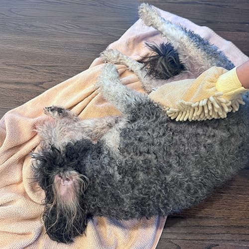 SPOT Clean Paws Chenille Microfiber Dog Towel Mitt - Super Absorbent, Quick-Drying, Washable, Double-Sided Glove for Wet Paws & Body, Durable, Odor-Free, Gently Massages & Dries, 9.5in x 7in