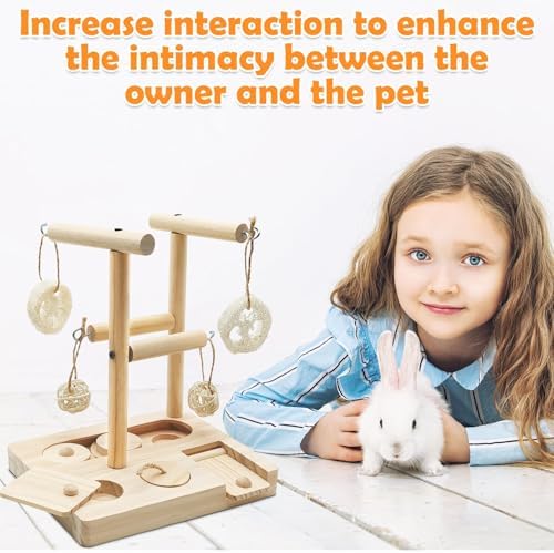 PINVNBY Guinea Pig Foraging Toys with Shelf Hamsters Interactive Enrichment Toys Bunny Wooden Puzzle Snuffle Toy Small Animals Treats Dispenser for Rabbit Chinchillas Rats and Gerbils