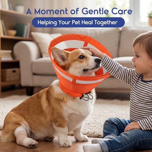 ASENKU Dog Cone Collar, Protective Recovery Dog Collar After Surgery, Comfy Adjustable Cone for Dogs to Stop Licking, Pet E-Collar for Small, Medium & Large Dogs(Orange, XL)