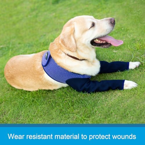 Coodeo Dog Recovery Sleeves, Cone Collar Alternative, Abrasion Resistant Dog Recovery Suit, Washable 2.5mm Thick and Waterproof, Pet Wounds Prevent Licking, Biting (Purple, M)