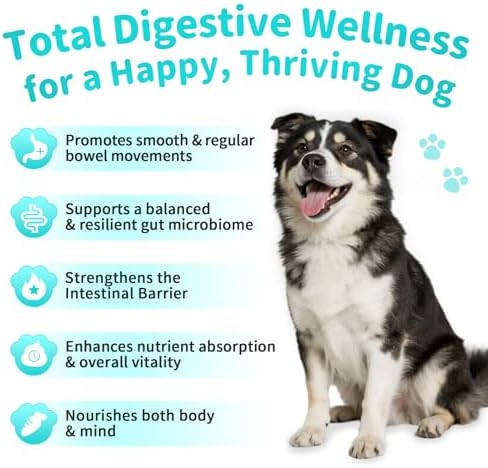 Probiotics for Dogs, 10B CFU with 5 Prebiotics & 5 Enzymes, Beef, 90 Count