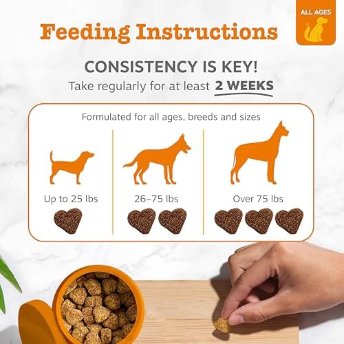 Zesty Paws Turmeric Dog Joint Supplement - Joint Supplement for Dogs 90Ct